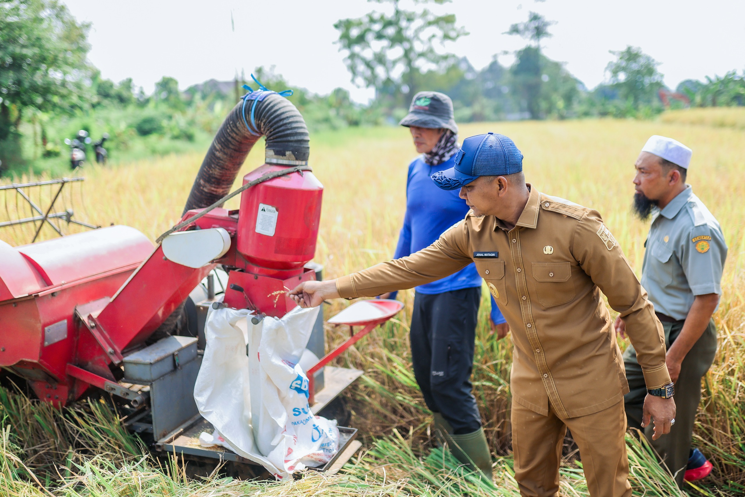 Panen Raya di Katulampa, Dukung Swasembada Pangan